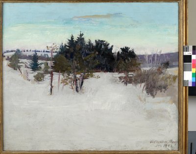 Zimní krajina, 1902 od Abbott Handerson Thayer