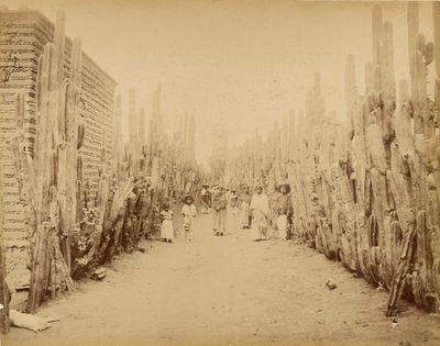 Mexiko. Ulice vesnice San Juan, stát Mexiko. od Abel Briquet