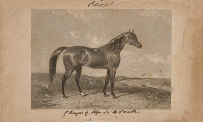„Aliwal, majetek sira Harryho Smithe, Bart“ (litografie) od Abraham (after) Cooper