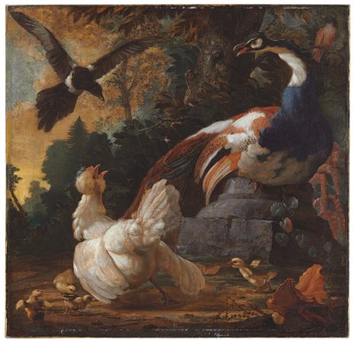 Páv, drůbež a straka v krajině, 1720 od Abraham Bisschop