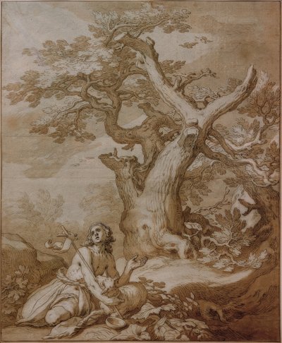 Jana Křtitele ve volné přírodě od Abraham Bloemaert