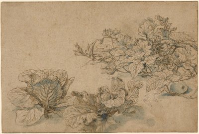Studie tykve a zelí od Abraham Bloemaert