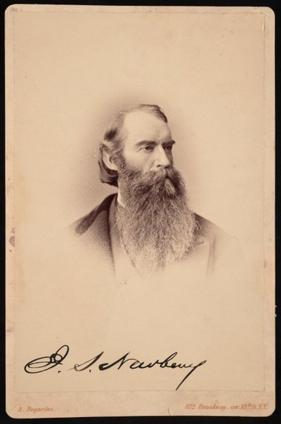 Portrét Johna Stronga Newberry 1822-1892, mezi 1876 a 1887. od Abraham Bogardus