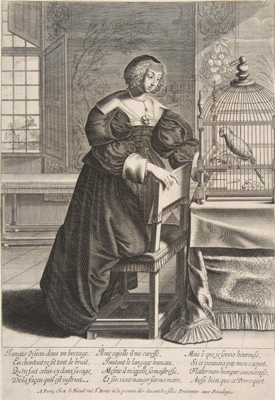 Papoušek, 1620-76. od Abraham Bosse