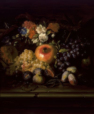 Zátiší s květinami a ovocem od Abraham Brueghel