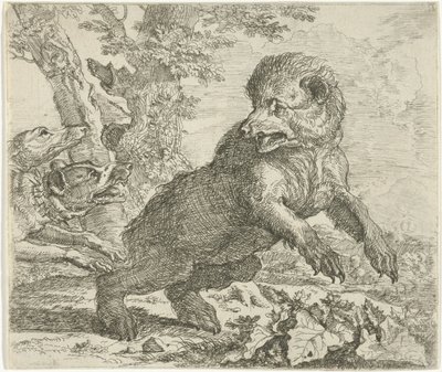 Medvěd napaden psy Různá zvířata (název série) od Abraham Danielsz. Hondius