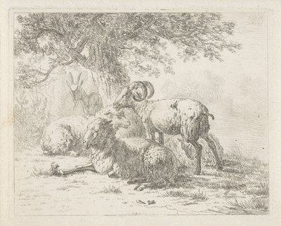 Ovce a koza od Abraham Hendrik Winter