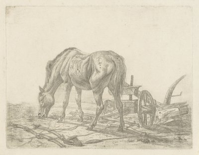 Necvičený kůň s pluhem od Abraham Hendrik Winter