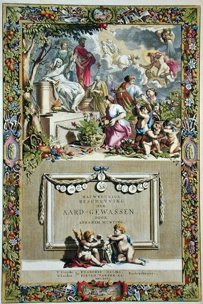 Titulní strana z „Přesného popisu plodin“ od Abrahama Muntinga (1626-83), vydáno 1666 (barevná rytina) od Abraham Munting