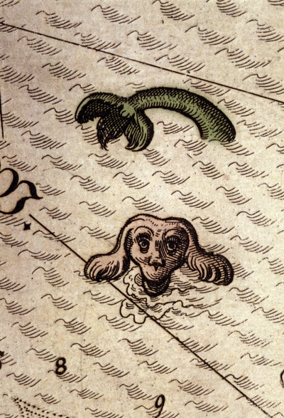 Mořská příšera má psí hlavu a rybí tělo. Detail mapy v „Theatrum Orbis Terrarum“ od Abrahama Ortelia, Antverpy 1584. od Abraham Ortelius