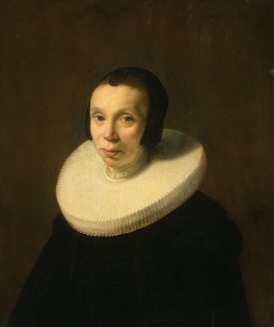 Portrét ženy od Abraham de Vries