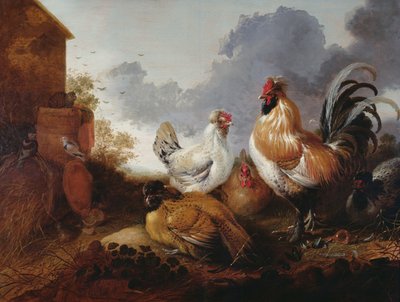 Drůbež na hospodářském dvoře od Abraham van Calraet
