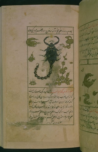 Souhvězdí zvěrokruhu: Štír, Štír, z Talim dar marifat i taqvuim, 1498 (903 hidžra) (inkoust) od Abu Jafar al Tabari