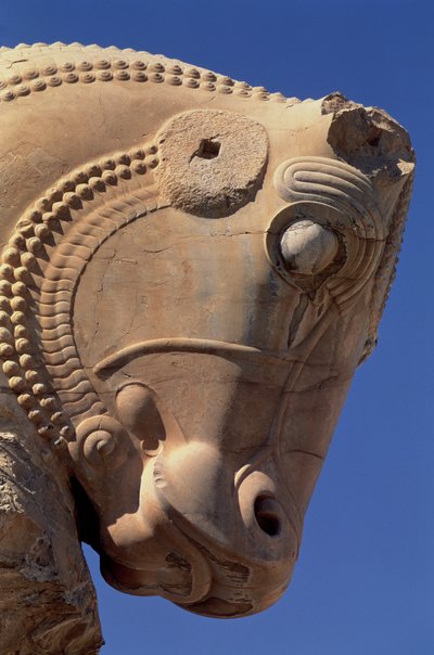Býčí hlava na severním portiku Xerxova trůnního sálu od Achaemenid