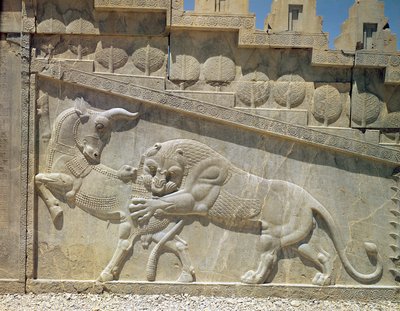 Lev bojující s býkem, reliéf na východním schodišti Apadany, Achájské období, kolem roku 515 od Achaemenid