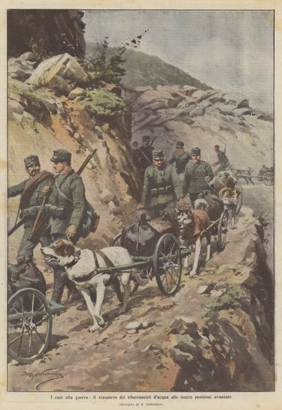 Psi do války, přepravující zásoby vody na naše přední pozice od Achille Beltrame
