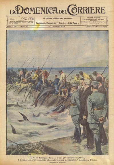 Král na Sardinii od Achille Beltrame