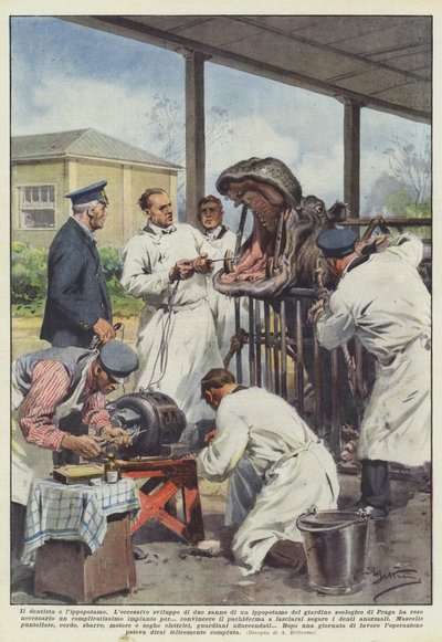 Zubař a hroch od Achille Beltrame