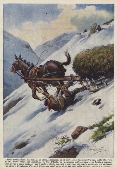 Neurastenická mula od Achille Beltrame