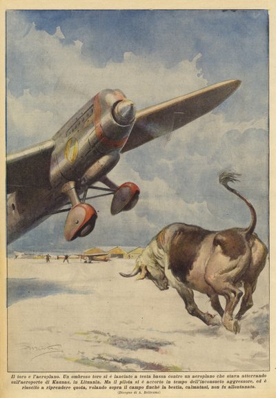 Býk a letadlo od Achille Beltrame