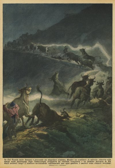 V údolí Val Trenta (horní Isonzo) došlo k neobvyklé nehodě. od Achille Beltrame