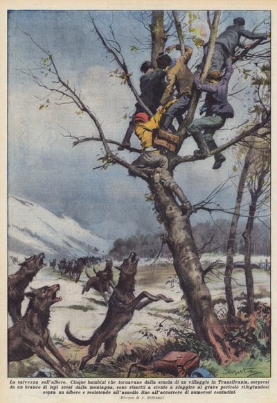 Spása na stromě od Achille Beltrame