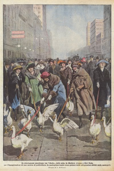 Americké extravagance, husí derby, na Madison Avenue v New Yorku, na inauguraci? od Achille Beltrame