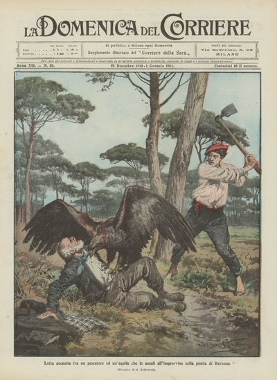 Nelítostný souboj rybáře s orlem, který na něj náhle zaútočí v borovém lese Ravenna. od Achille Beltrame