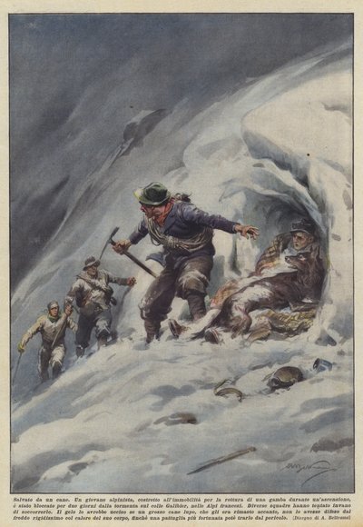 Zachráněn psem od Achille Beltrame