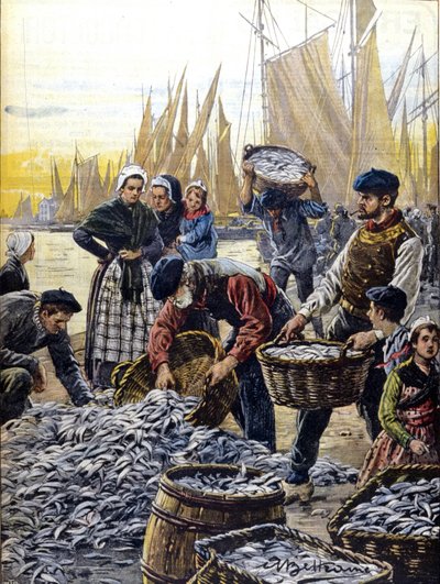 Lov sardinek v Bretani v roce 1903 ilustrace od Achille Beltrame od Achille Beltrame