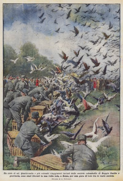 Nebe z křídel od Achille Beltrame