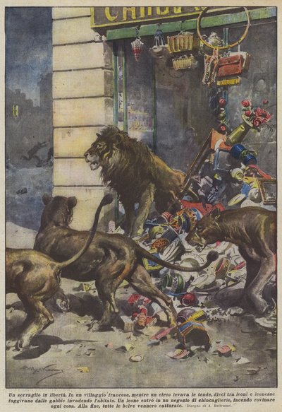 Zvěřinec na útěku od Achille Beltrame