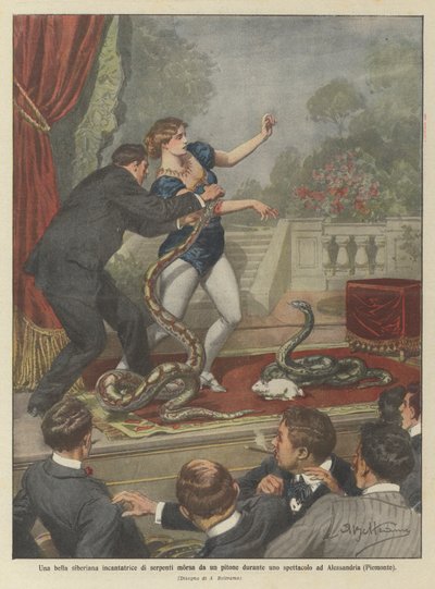 Krásný sibiřský zaříkávač hadů pokousaný krajtou během výstavy v Alessandrii (Piemont) od Achille Beltrame