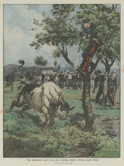 Vzrušující hon na argentinského býka, který uprchl do Rifredi nedaleko Florencie od Achille Beltrame