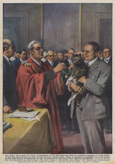 Kočka, která se zapíše do historie od Achille Beltrame