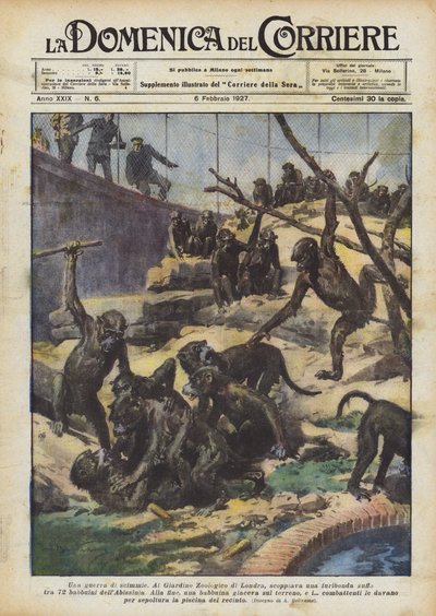 Opičí válka od Achille Beltrame