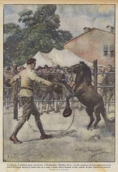 Bezprecedentní boxerský zápas, washingtonský šampion Battling Tony ve váze koně? od Achille Beltrame