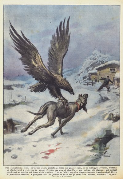 Velmi podivný boj od Achille Beltrame