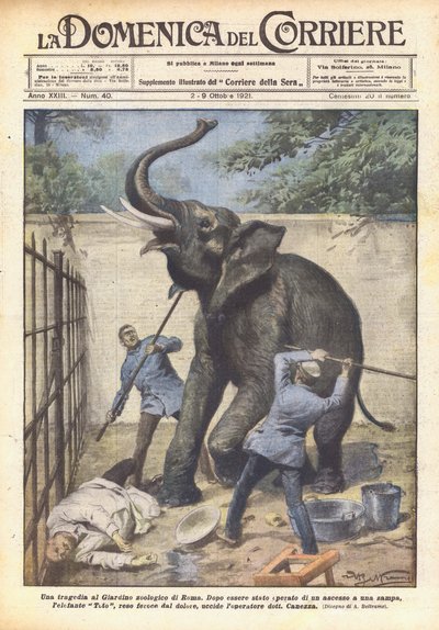 Tragédie v zoologické zahradě v Římě od Achille Beltrame