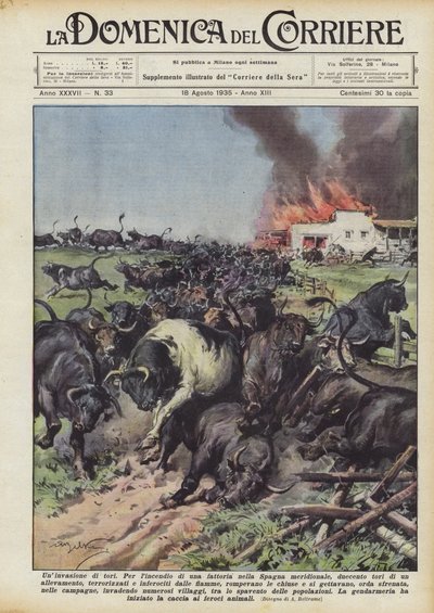 Invaze býků od Achille Beltrame