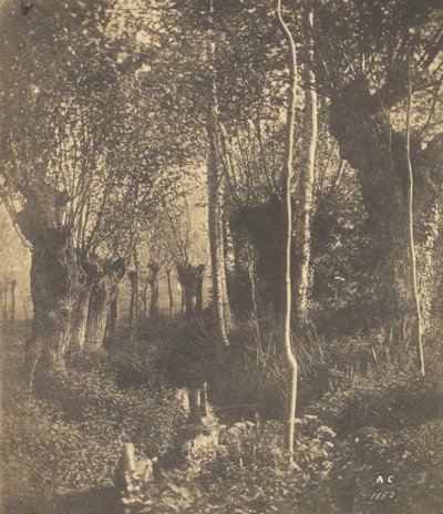 [Krajina, Arras], 1852. od Adalbert Cuvelier