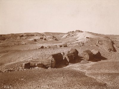 Ve zkamenělém lese (celkový pohled, Middle Park), asi 1895-1897 (foto) od Adam Clark Vroman