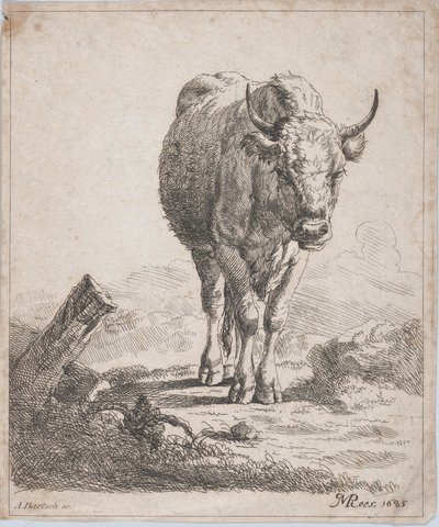 Kráva, při pohledu zepředu, 1805. od Adam von Bartsch