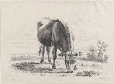 Pasení krav, 1805., 1805. od Adam von Bartsch