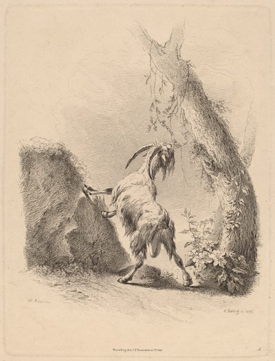 Koza v krajině, 1805. od Adam von Bartsch