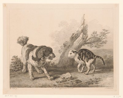Pes a kočka v bojovém postoji proti sobě Zvířata po obrazech holandských mistrů (název série) Différens animaux graves d