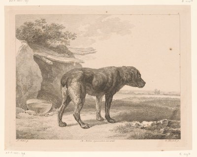 Stojící pes v krajině Zvířata po obrazech holandských mistrů (název série) Différens animaux graves d