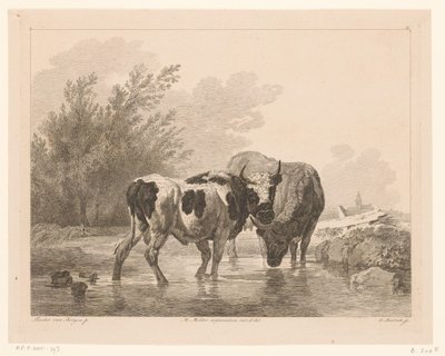 Dvě krávy v potoce Zvířata po obrazech holandských mistrů (název série) Différens animaux graves d