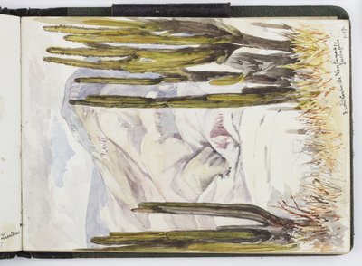 Náčrt akvarelů, kreseb a poznámek, Mexiko, 1896-1898 (akvarel) od Adela Breton