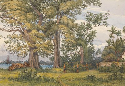 "Apia Bay, Upolu, Navigators Islands, [Samoa] from verandah of my sick quarters, Novr 6th 1849". od Admiral Sir Edward Gennys Fanshawe